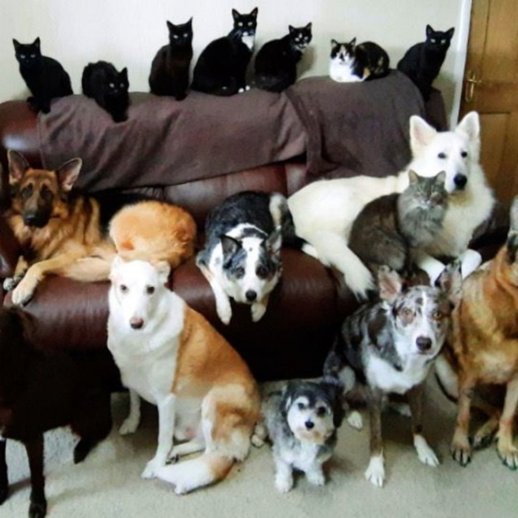 Meet your Posher, Bryn - Picture 13 of 17